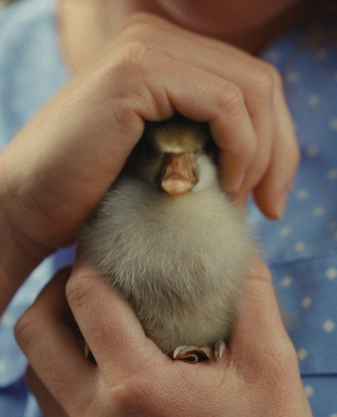 Keeping your super safe